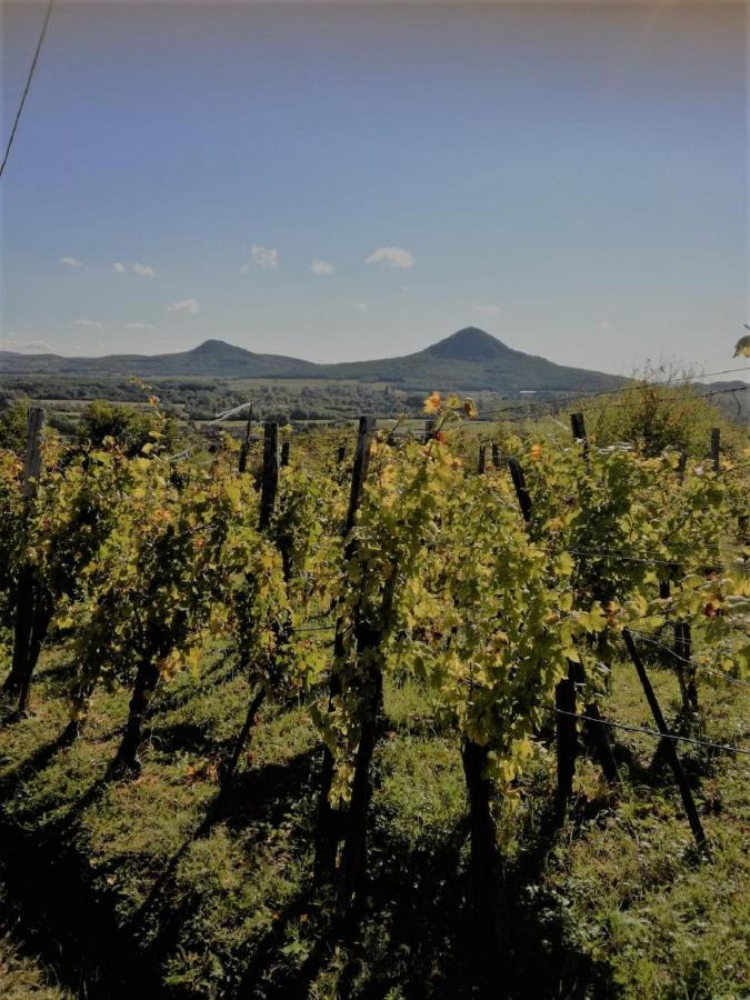 Вілла Agnes Almai Agnes Apples Kisapati Екстер'єр фото